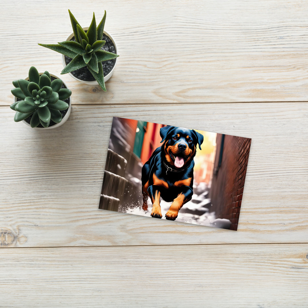 Rottweiler- Standard Postcard v2