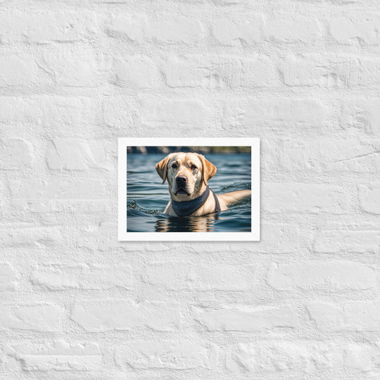 Framed matte paper poster-Labrador Retriever V3