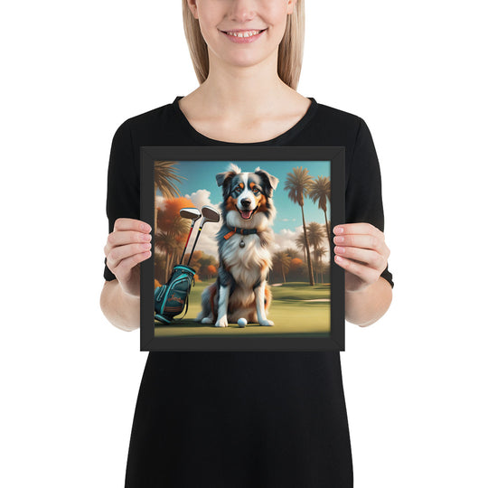 Australian Shepherd Golfer- Framed poster v2