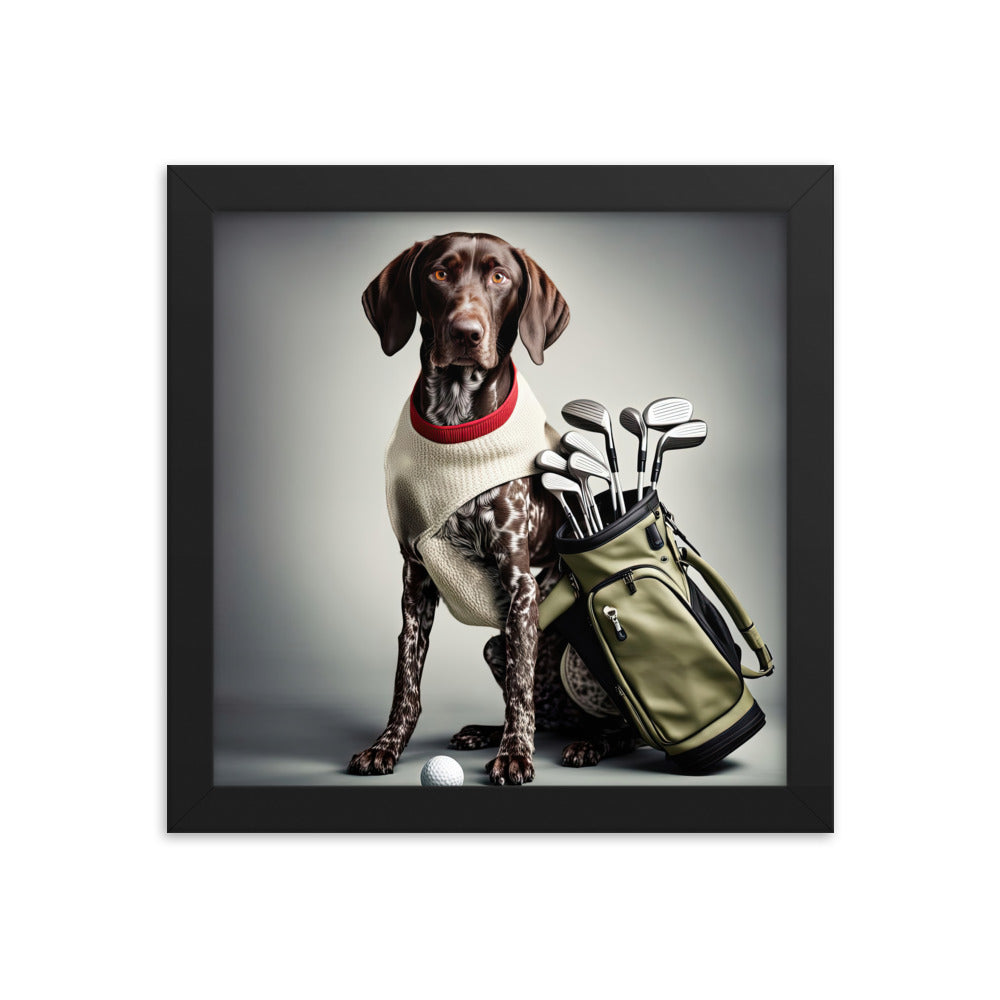 German Shorthaired Pointer Golfer- Framed poster v4