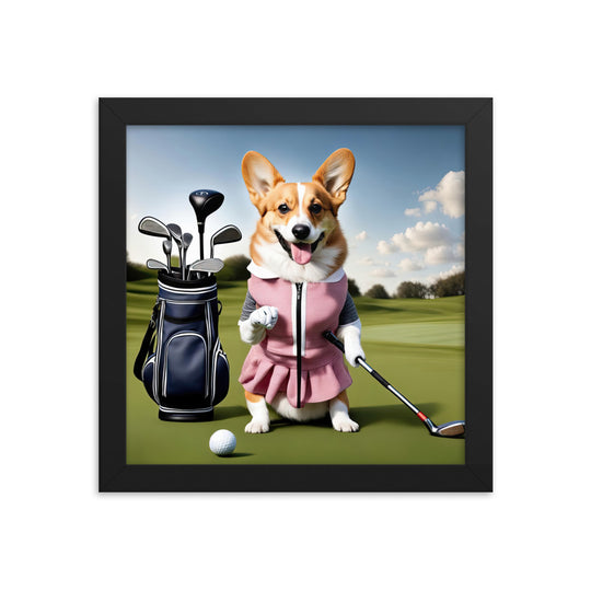 Pembroke Welsh Corgi Golfer- Framed poster v5