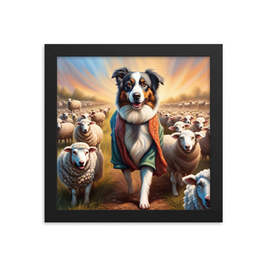 Australian Shepherd- Framed poster