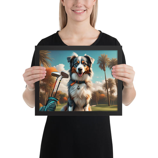 Australian Shepherd Golfer- Framed poster v2