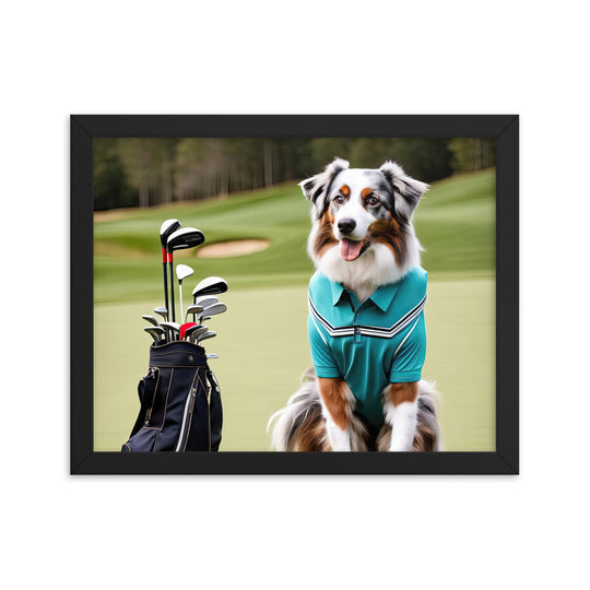 Australian Shepherd Golfer- Framed poster v4