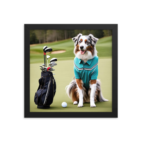 Australian Shepherd Golfer- Framed poster v4