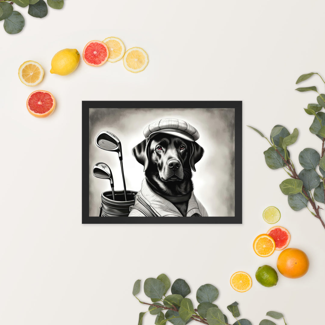 Framed poster-Labrador Retriever Golfer V11