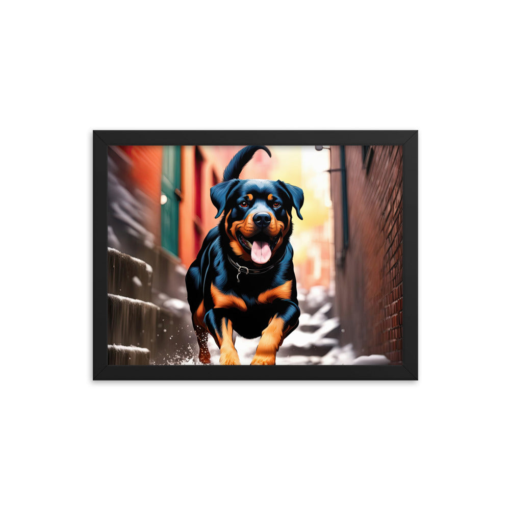 Rottweiler- Framed poster v2