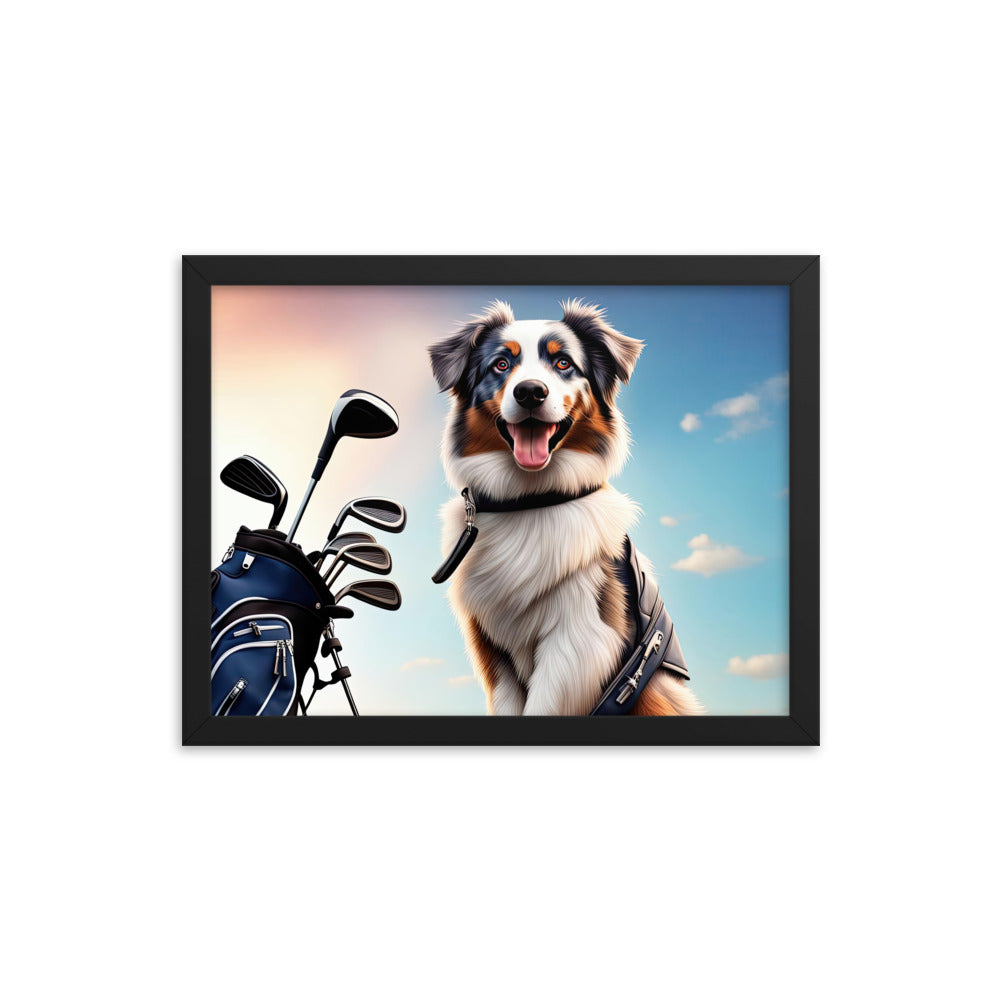 Australian Shepherd Golfer- Framed poster