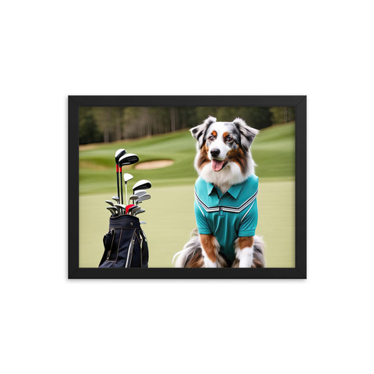 Australian Shepherd Golfer- Framed poster v4