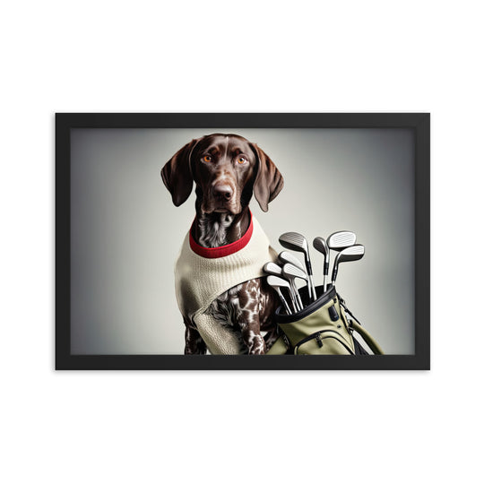 German Shorthaired Pointer Golfer- Framed poster v4