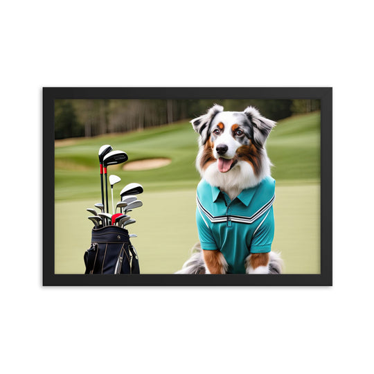 Australian Shepherd Golfer- Framed poster v4