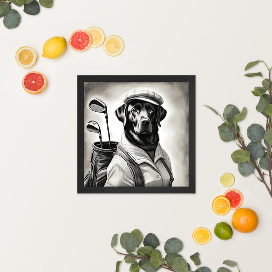 Framed poster-Labrador Retriever Golfer V11