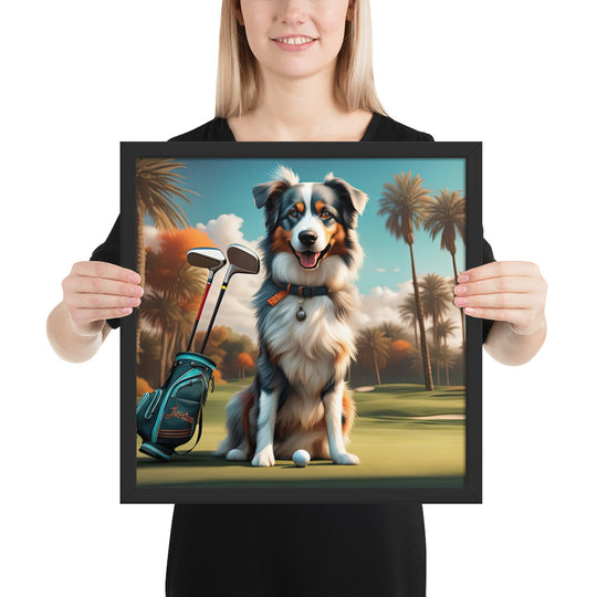 Australian Shepherd Golfer- Framed poster v2