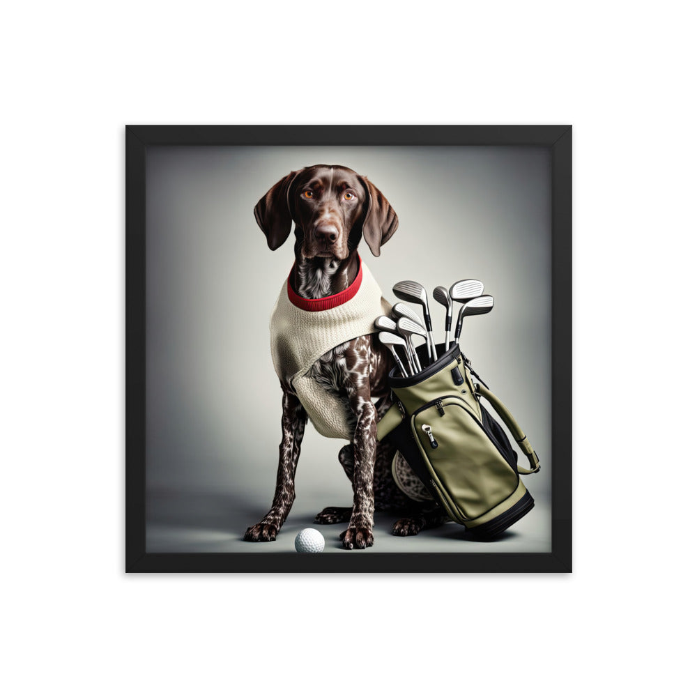 German Shorthaired Pointer Golfer- Framed poster v4