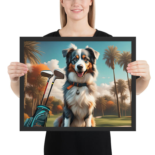 Australian Shepherd Golfer- Framed poster v2