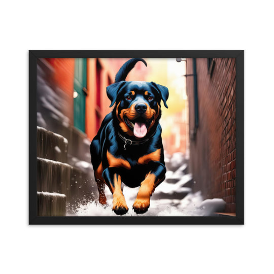 Rottweiler- Framed poster v2