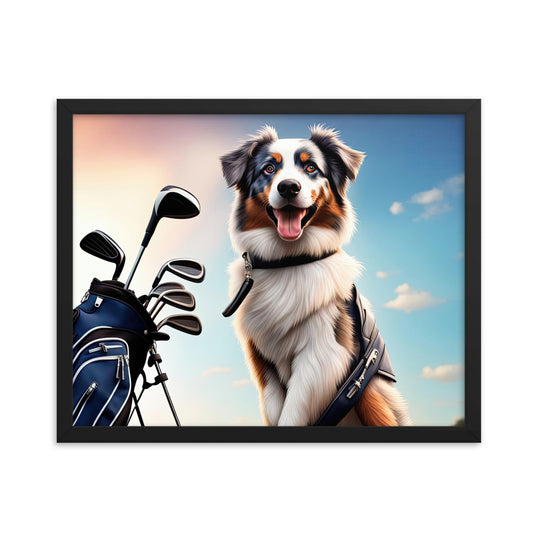 Australian Shepherd Golfer- Framed poster