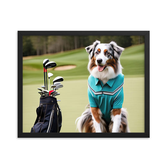 Australian Shepherd Golfer- Framed poster v4