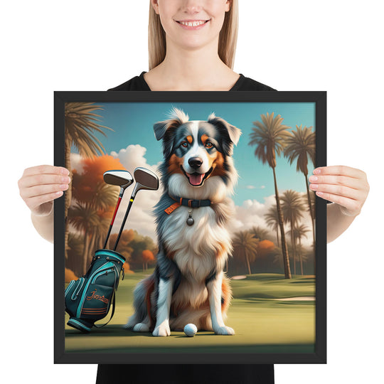 Australian Shepherd Golfer- Framed poster v2