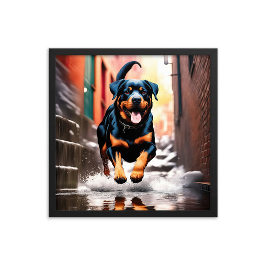 Rottweiler- Framed poster v2