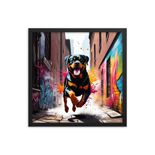 Rottweiler- Framed poster v5