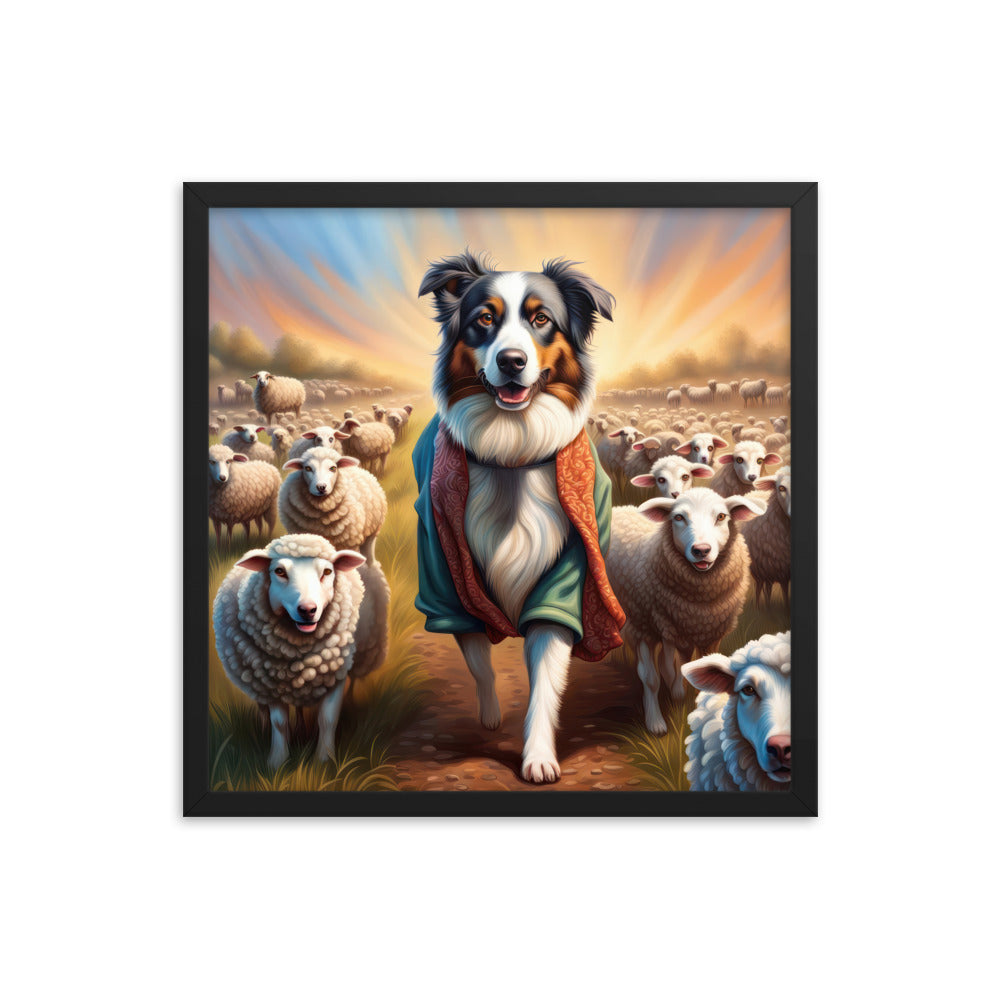 Australian Shepherd- Framed poster