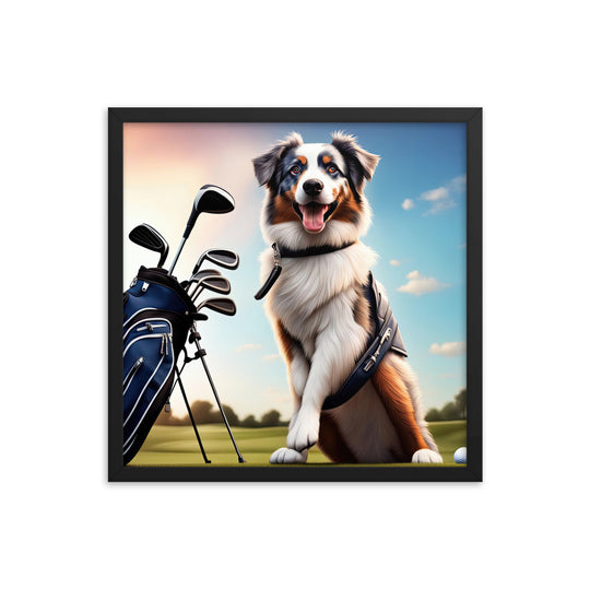 Australian Shepherd Golfer- Framed poster