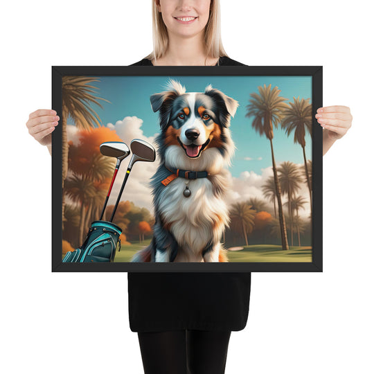 Australian Shepherd Golfer- Framed poster v2