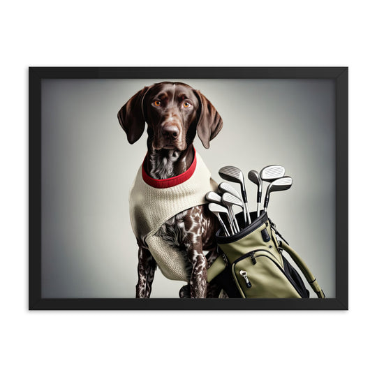 German Shorthaired Pointer Golfer- Framed poster v4