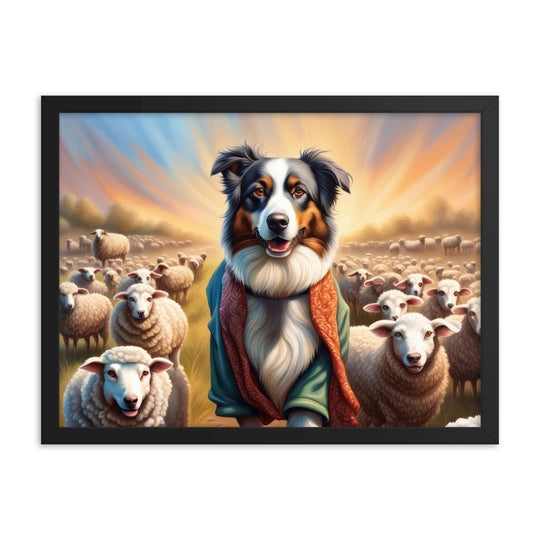 Australian Shepherd- Framed poster