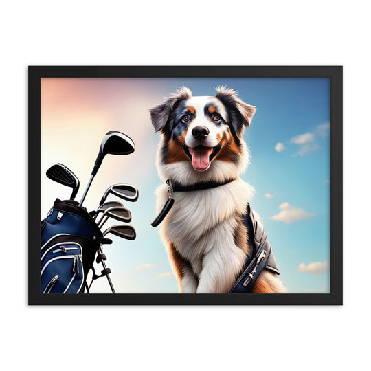 Australian Shepherd Golfer- Framed poster