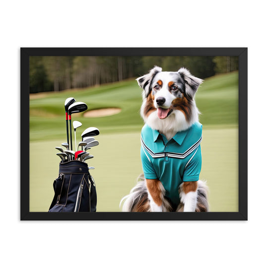 Australian Shepherd Golfer- Framed poster v4