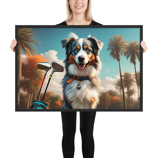 Australian Shepherd Golfer- Framed poster v2