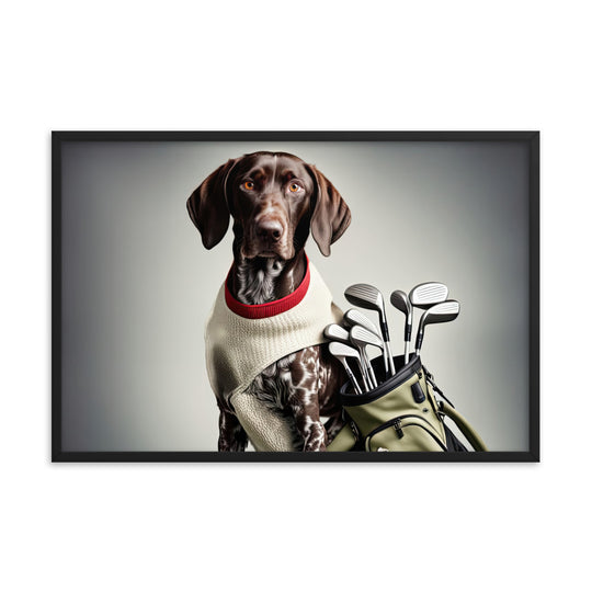 German Shorthaired Pointer Golfer- Framed poster v4