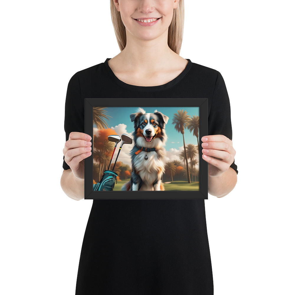 Australian Shepherd Golfer- Framed poster v2