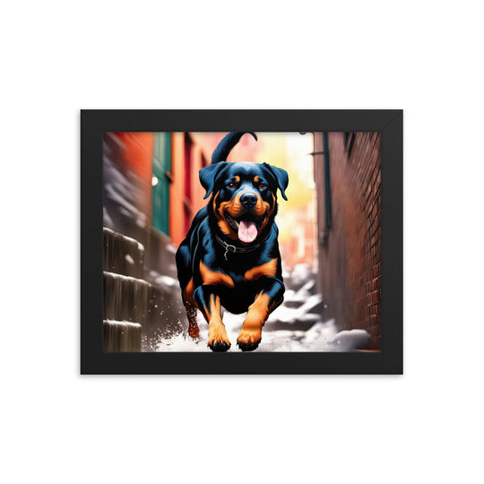 Rottweiler- Framed poster v2