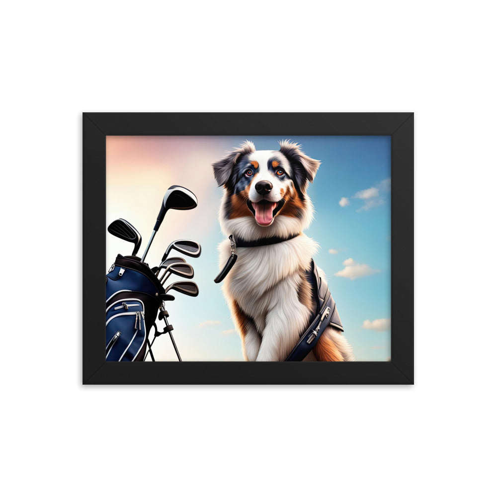 Australian Shepherd Golfer- Framed poster