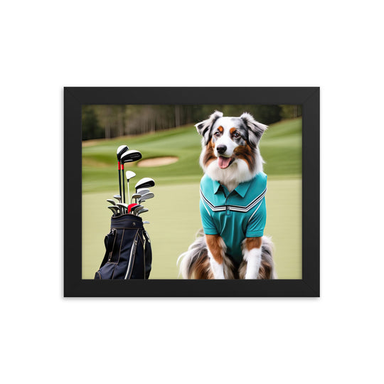 Australian Shepherd Golfer- Framed poster v4