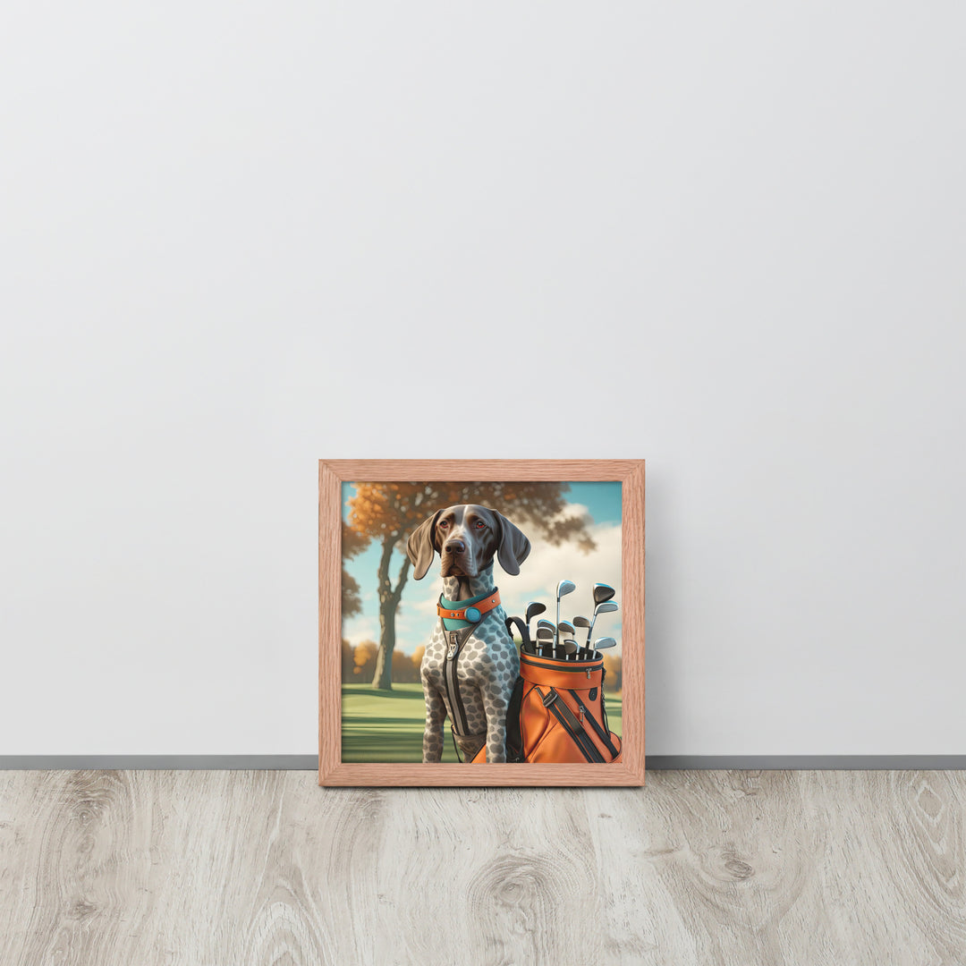 German Shorthaired Pointer Golfer- Framed poster