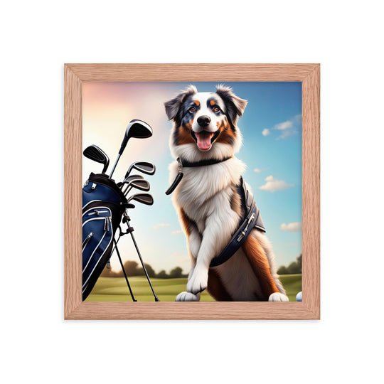 Australian Shepherd Golfer- Framed poster