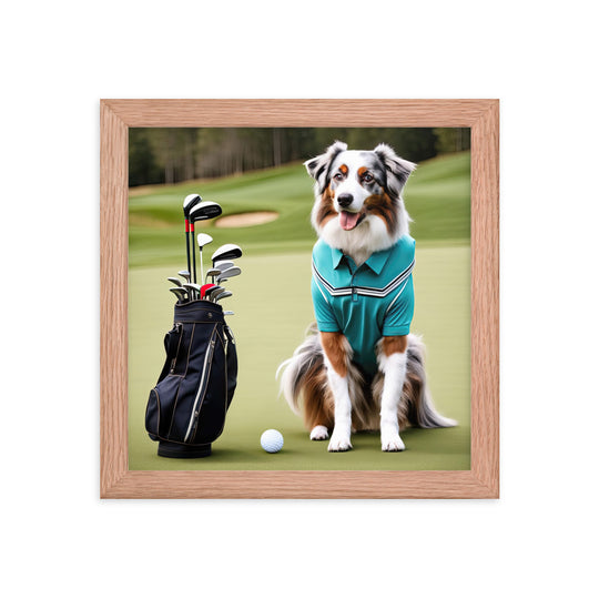 Australian Shepherd Golfer- Framed poster v4