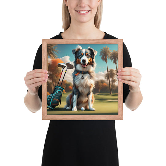 Australian Shepherd Golfer- Framed poster v2