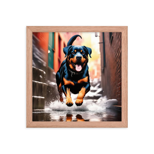 Rottweiler- Framed poster v2