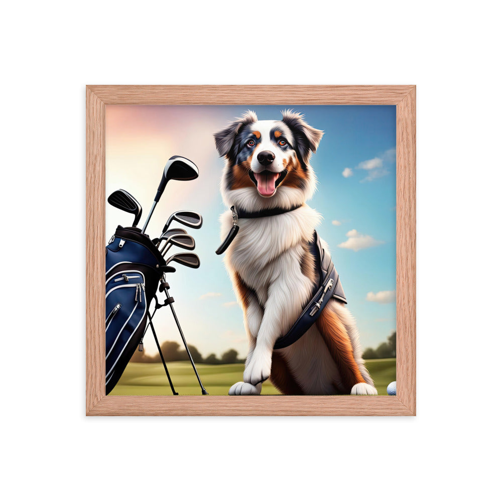 Australian Shepherd Golfer- Framed poster