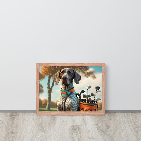 German Shorthaired Pointer Golfer- Framed poster