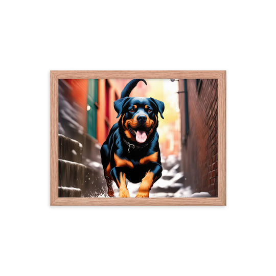 Rottweiler- Framed poster v2