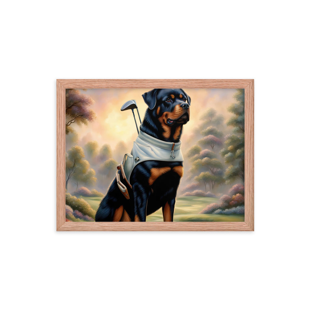 Rottweiler Golfer- Framed poster v3