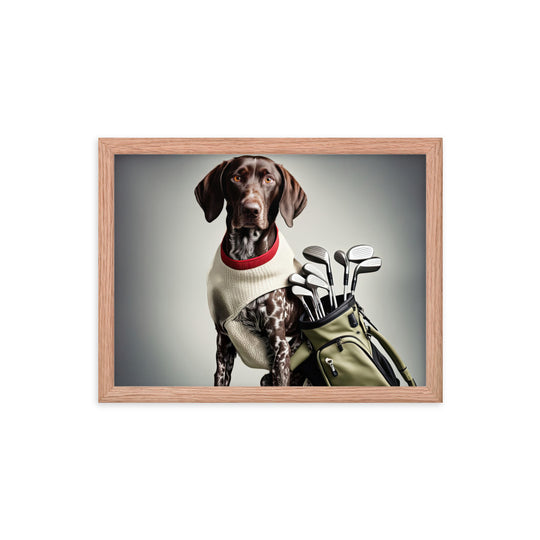 German Shorthaired Pointer Golfer- Framed poster v4