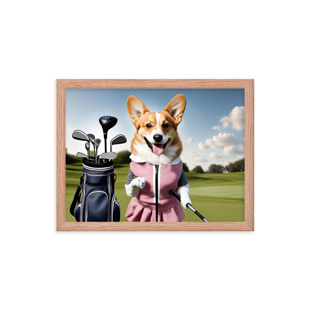 Pembroke Welsh Corgi Golfer- Framed poster v5