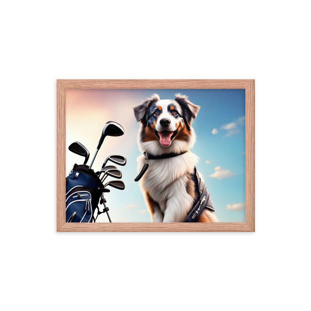 Australian Shepherd Golfer- Framed poster